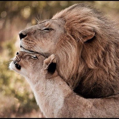 Милана Ибрагимова