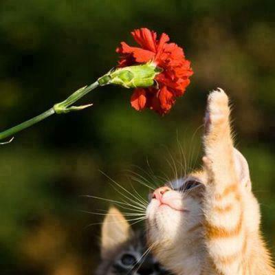 Татьяна Попова