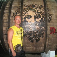 Дмитрий Турнеев