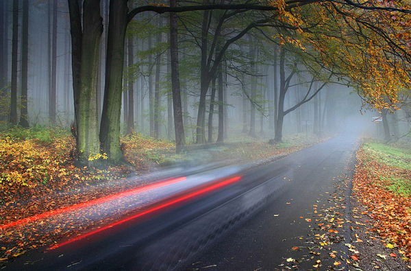 Kseniya Киселева