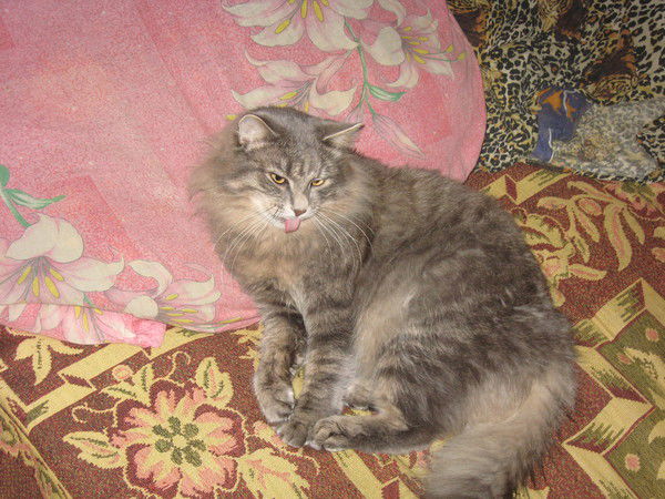 Александр Rrr