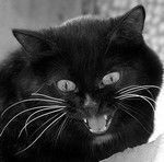 Анна Шакирова