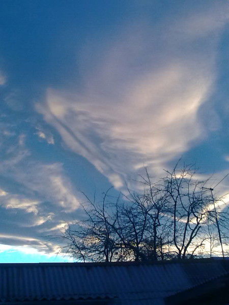 Игорь Коновалов