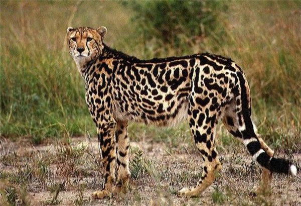 Бахтияр Кунаров