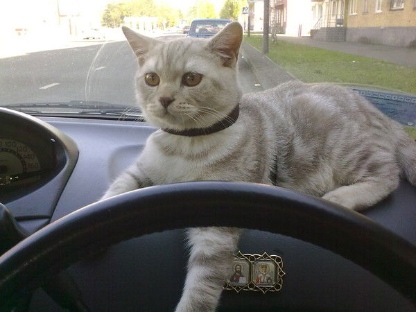 Галина Плохих