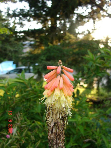 Татьяна Шиянова