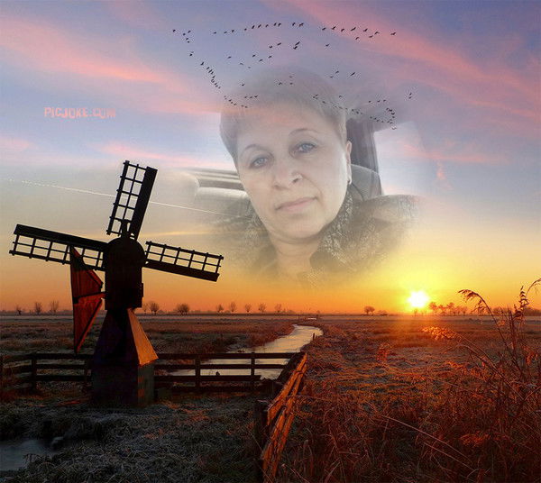 Ольга Николаева