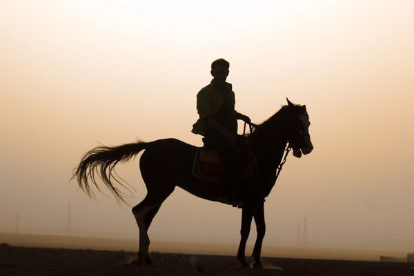 Евгений Миляев