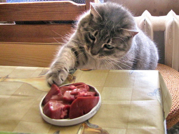 Александр Тищенко