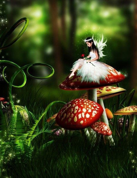 Светлана Николаевна