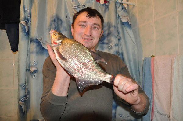 Евгений Андреев