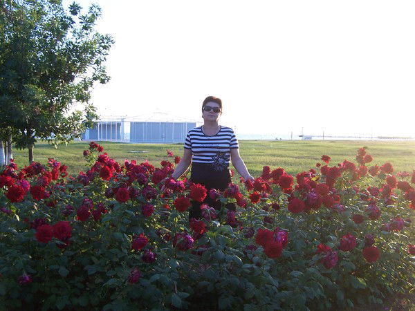 Людмила Петренко