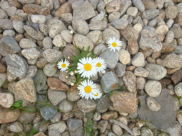 Ооо Снпп Юувкн