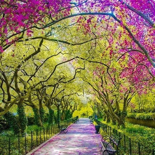 Гульназ Гарипова