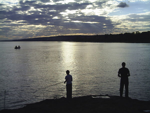 Андрей Сакардин
