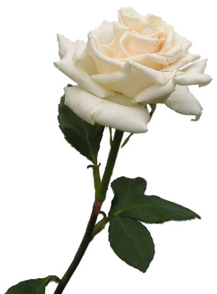 Батиха Киясова