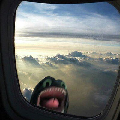 Амина Сосна