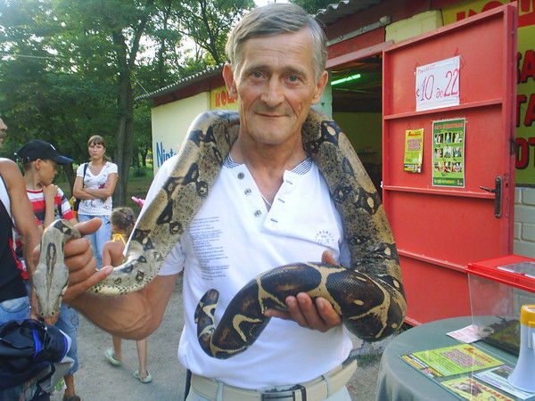 Александр Вайс