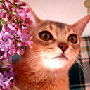 Дарья Силушина