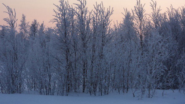 Юра Агент-007