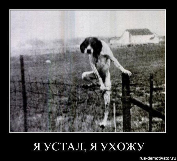 Bolatbek Bimuhambetov