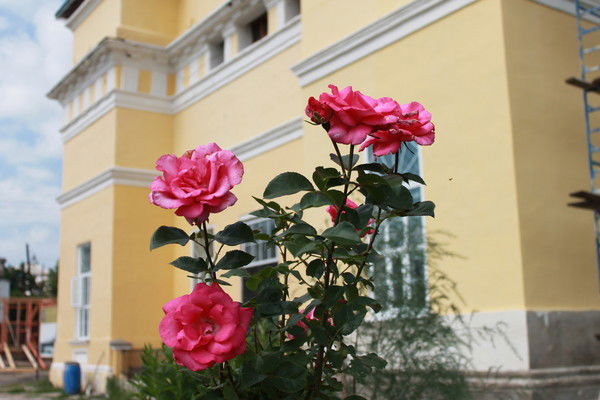 Александра Андреева