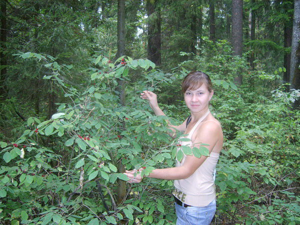 Екатерина Щукина