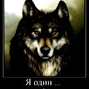 Дима Левшин