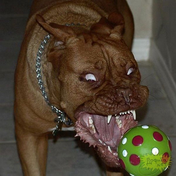 Игорь Отченко