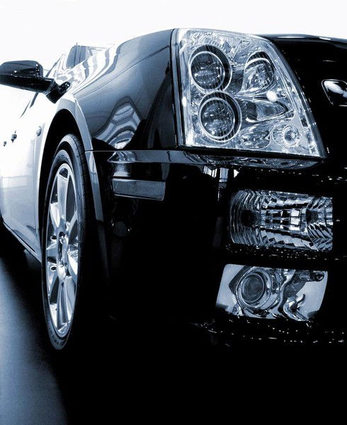 Мария Суровцева