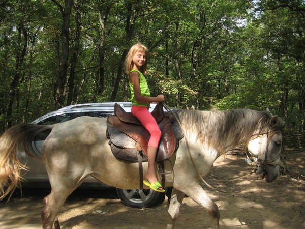 Полинка Перинка