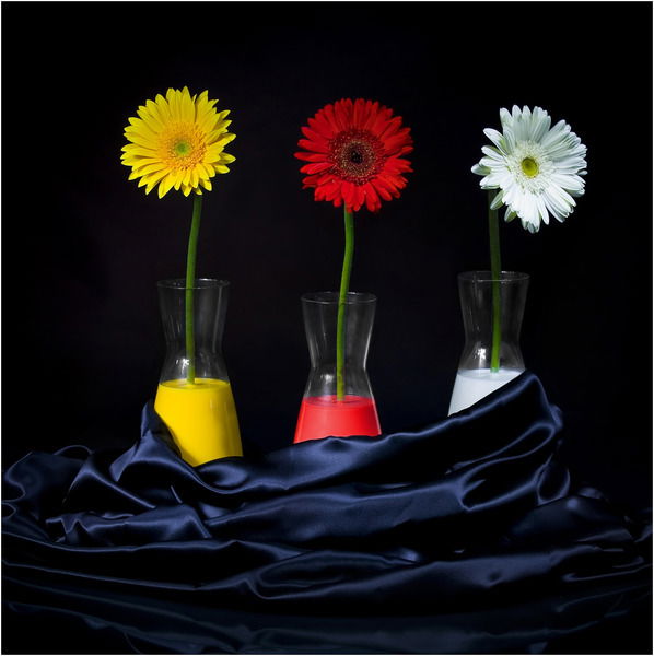 Наиля Мустафина