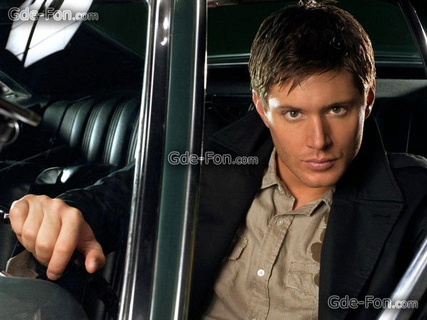 Ветер Вольный