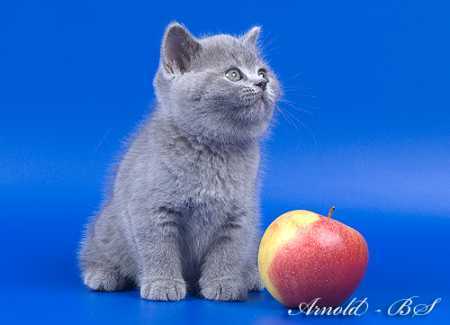 Ирина Михалёва