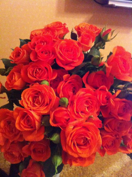 Елена Тимофеева