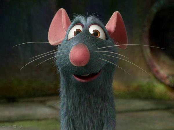 Андрей Шишкин