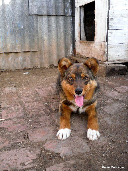 Мария Дорофеева