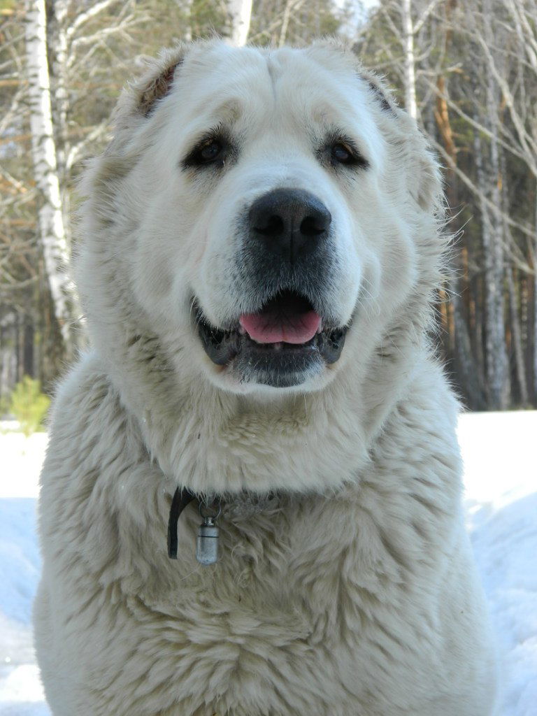 Кристина Дементьева
