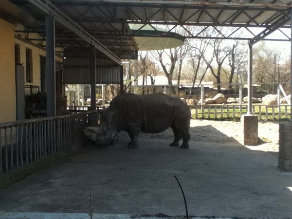 Сергей Бабенко