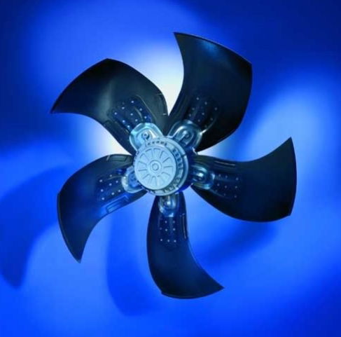 Валиев Алмаз