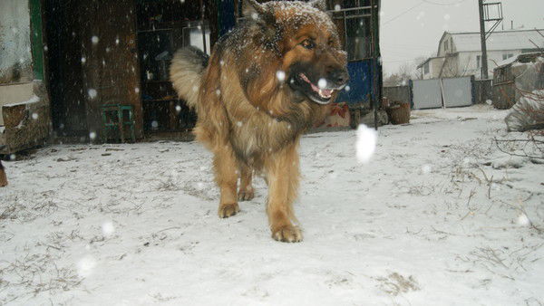 Юлия Мезинова