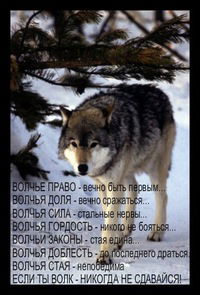 Максим Волков