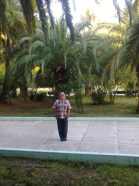 Александр Костицын