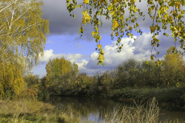 Юрий Серебряков