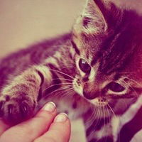 Макнуна Касимова