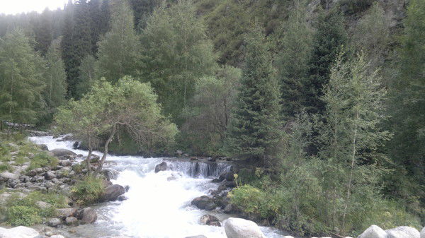 Чингиз Оспанов