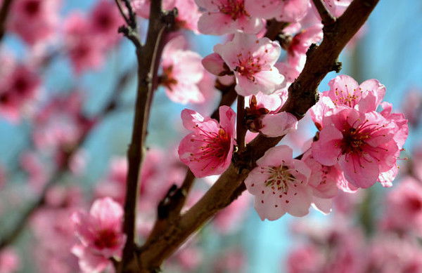 Лисицына Лидия