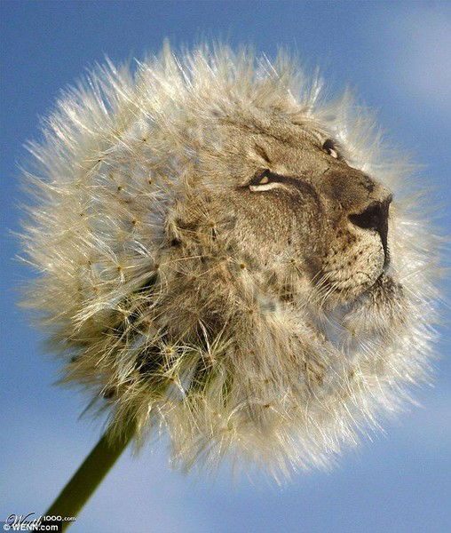 Евгений Эривман