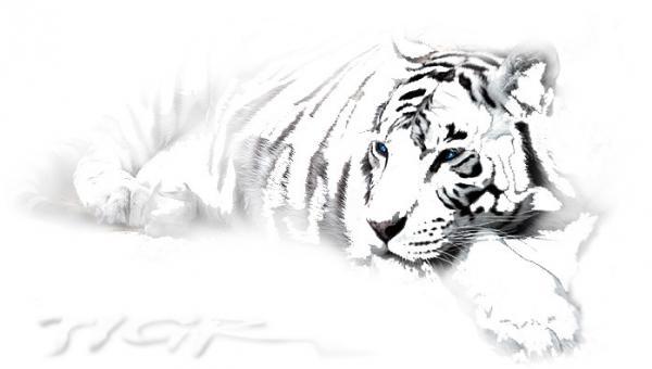 Сергей Кущевский