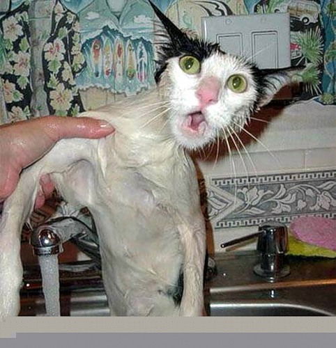 Василий Перминов